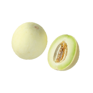 gg8_Mesa de trabajo 1